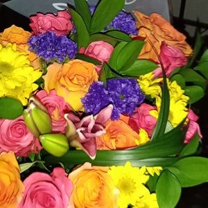 Meet your Posher, Justice